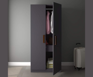 Engineered Wood Double Door Wardrobe | Finish Color - Slate Grey