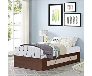 Engineered Wood Single Bed with Storage | Queen Size