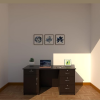 Modern Engineered Wood Office Desk | Study Desk | Walnut Finish in Black color