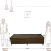 Wood Sofa | Diwan | Single Bed with Storage | Brown