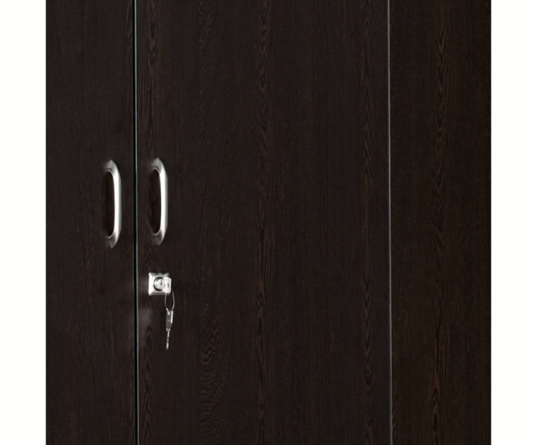 Four Door in New Wenge Color Finish for Bedroom with One Mirror Inserted | Engineered Wood