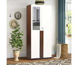 Double Door Deluxe Engineered Wood Wardrobe White