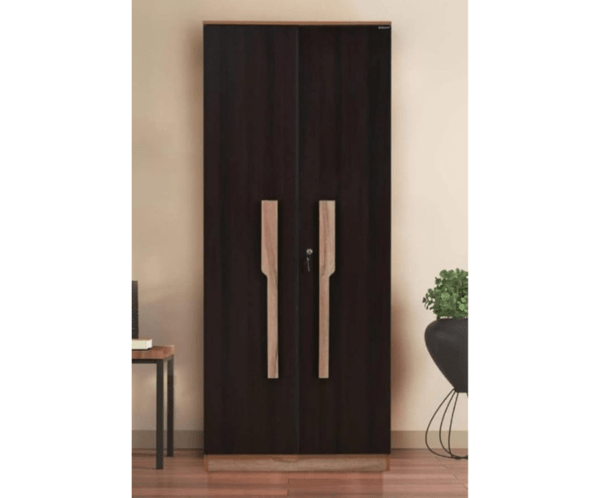 Double Door Wardrobe | Double Door Wardrobe for Clothes | Wenge and Oak Finish