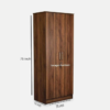 Engineered Wood Double Door Wardrobe Without Mirror | Wood Texture