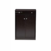 Engineered Wood Shoe Cabinet | Shoe Rack in Dark Brown Colour