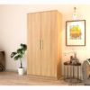 Premium Engineered Wood Double Door Wardrobe | Finish – Siam Teak