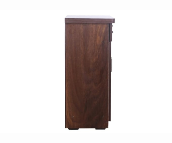 Unique Double Door Cabinet | Shoe Rack