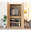 Premium Engineered Wood Double Door Wardrobe | Finish – Siam Teak