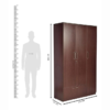 Three Door Wardrobe without Mirror | Flower Wenge